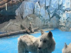 -泉城欧乐堡海洋极地世界