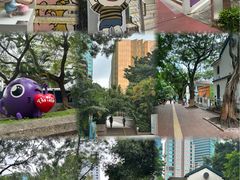 -九龙公园