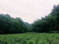 -杭州西湖风景名胜区-三生石