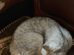 -不舍昼夜咖啡馆