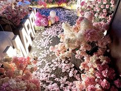 -上海外滩茂悦大酒店