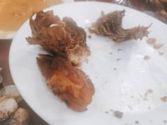 -鸢飞潍坊菜馆(鸢飞大酒店)