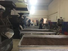 -巴厘岛黄金金兔咖啡工厂