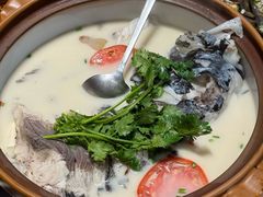 -全乐鱼馆·淳牌有机鱼直营店
