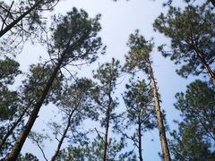 -福清灵石山国家森林公园