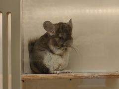 -龙猫仔乐园(惠福东路店)