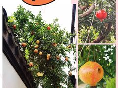 -东山风景区(洞庭东山)