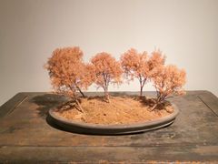 -稍可轩博物馆餐厅