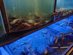 -福禧荟·海鲜自助