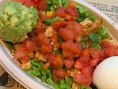 -油梨树 AVOCADO TREE(亮马桥店)