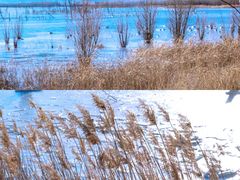 -野鸭湖国家湿地公园