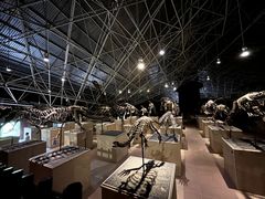 -世界恐龙谷景区