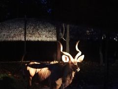 -清迈夜间动物园
