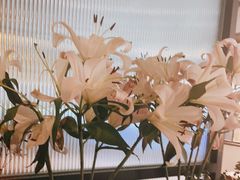 -西堤牛排(合肥之心城店)