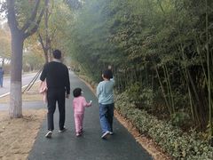 -泗洪洪泽湖湿地景区