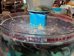 -魏铭鱼头捞饭(晋阳路店)