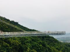 -呀诺达热带雨林