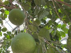 -北京植物园南门售票处