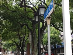 -枫泾丁氏烧卖(枫丽路店)