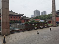 -南京钟山宾馆(江苏省会议中心)