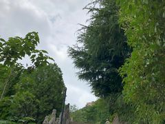 -青岛崂山太清宫