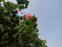 -艾溪湖湿地公园