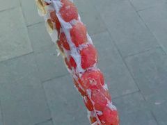 -和禄德冰糖葫芦