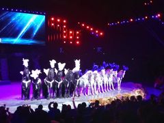 -珠海横琴长隆《卡卡虎奇遇记》