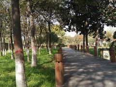 -西安汉城湖景区