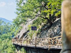 -燕子河大峡谷天坑仙境