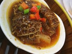 麻椒蒸金钱肚-维多利亚大酒店·雅园中餐厅