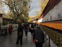 -宗角禄康公园