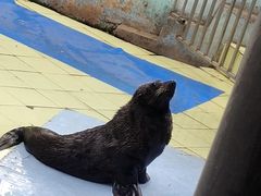 -昆明动物园