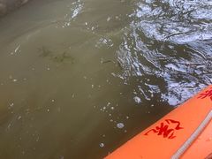 -天目湖松岭竹海漂流