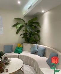 -健身堂科技美肌SPA