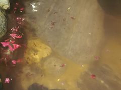 -湖泉半山温泉(湖泉生态园)