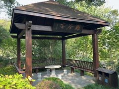 -杭州花家山庄