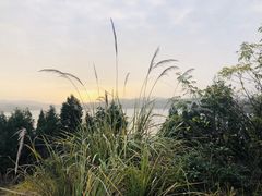 -仙海旅游度假区