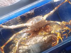 -鹊华居·地道鲁菜·海鲜·融合味(大明湖店)