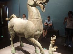 -广西壮族自治区博物馆