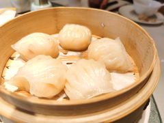 -金悦轩海鲜城(渔人码头店)