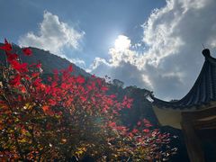 -广州市石门国家森林公园