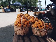 -塘栖枇杷特色园区