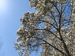 -吴裕泰茶庄(前门大街店)