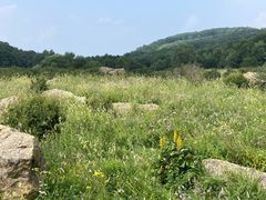 -白草畔自然风景区