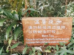 -普洱太阳河森林公园