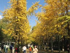 -四川大学(望江校区)