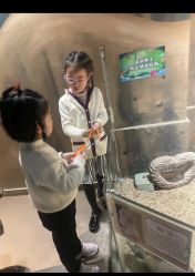 -七巧国萌宠乐园(龙湖天街店)