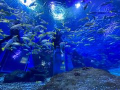 -海合安武汉极地海洋公园