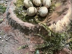 -湖南省地质博物馆